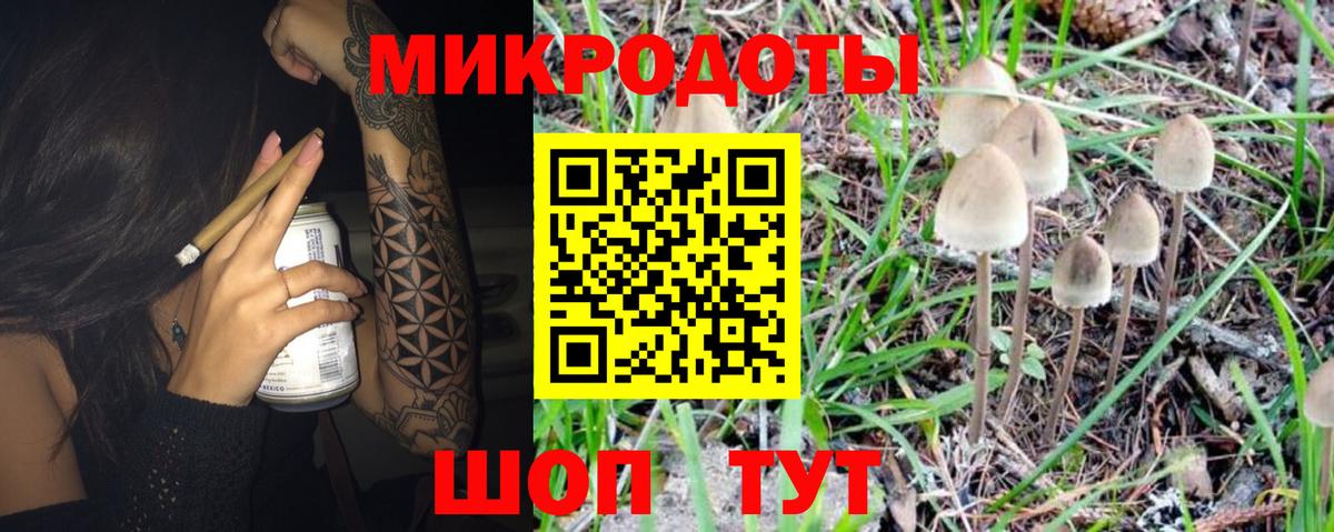 Псилоцибиновые грибы мухоморы  как найти   Азов  Галлюциногенные грибы Cubensis  Вход с VPN 